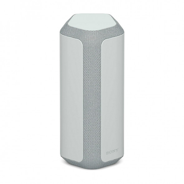 Портативная колонка Sony SRS-XE300, Light Gray в Челябинске