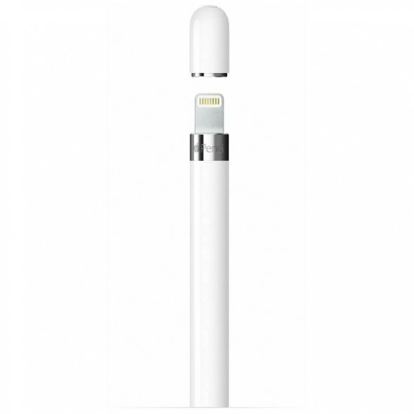 Стилус Apple Pencil (1-го поколения) с USB-C to Apple Pencil адаптером (MQLY3) в Челябинске