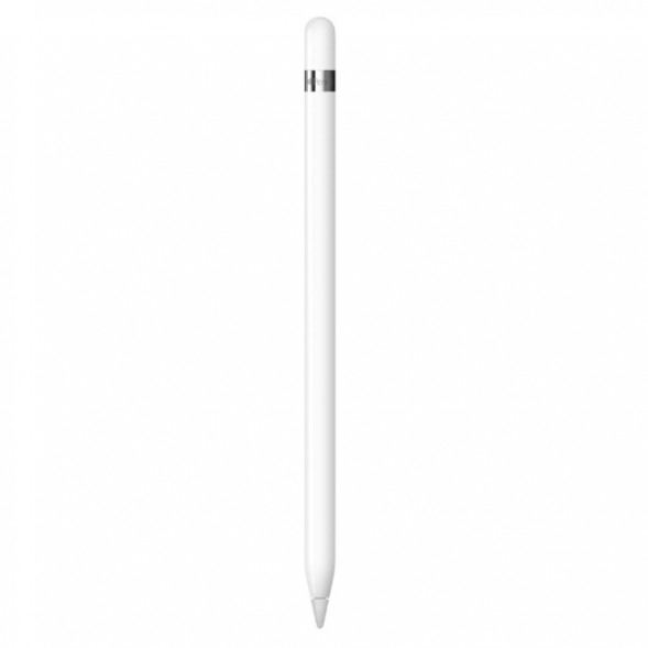 Стилус Apple Pencil (1-го поколения) с USB-C to Apple Pencil адаптером (MQLY3) в Челябинске