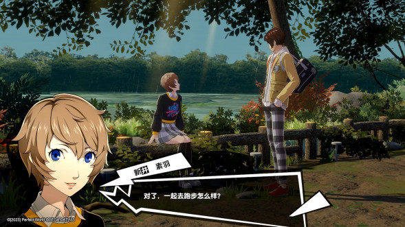 Persona 5 Royal [Nintendo Switch, английская версия] в Челябинске