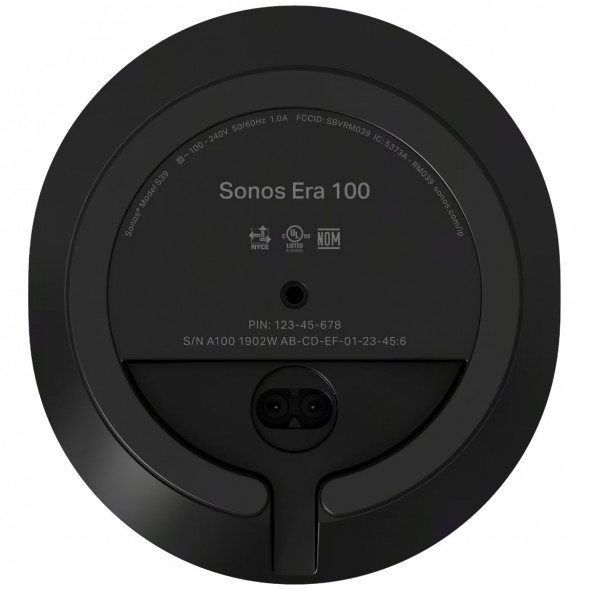 Умная колонка Sonos Era 100, черный в Челябинске
