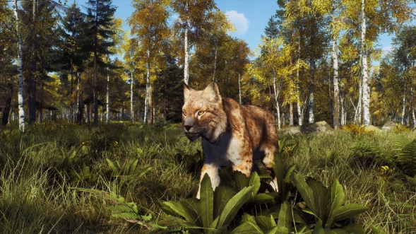 Игра Way of the Hunter: Wild Expeditions [PS5, русские субтитры] в Челябинске