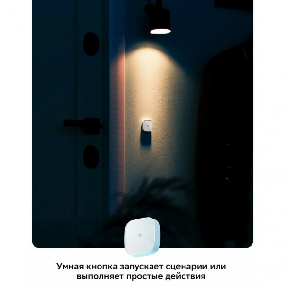 Умная кнопка Sber SBDV-00032 в Челябинске