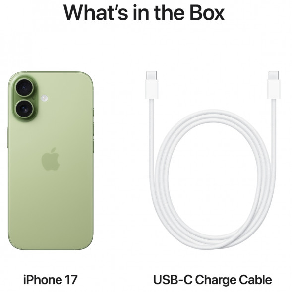 Смартфон Apple iPhone 17 256GB eSim, Sage в Челябинске