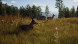 Игра Way of the Hunter [PS5, русские субтитры] в Челябинске