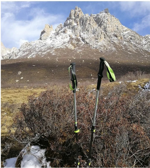 Треккинговая палка Naturehike 135 см, 1шт., серый/зеленый в Челябинске