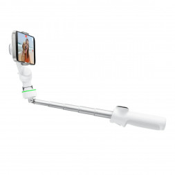 Стабилизатор Insta360 Flow 2 AI Tracker Bundle, Summit White