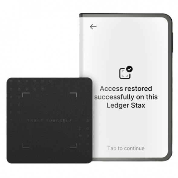 Аппаратный холодный криптокошелек Ledger Stax c чехлом Magnet Shell Black + Recovery Key в Челябинске