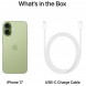 Смартфон Apple iPhone 17 512GB eSim, Sage в Челябинске