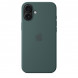 Чехол Apple для iPhone 16 Plus Silicone MagSafe,  Lake Green (MYYH3ZM/A) в Челябинске