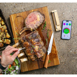 Термометр щуп для мяса MEATER 2 Plus (MT-MP201)