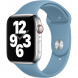 Ремешок для Apple Watch 40mm Northern Blue Sport Band (MYD02ZM/A), скандинавский синий в Челябинске