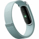 Фитнес-браслет Google Fitbit Air (Серо-голубой/Fog) в Челябинске