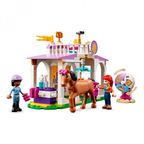 Конструктор LEGO Friends 41746 Horse Training в Челябинске