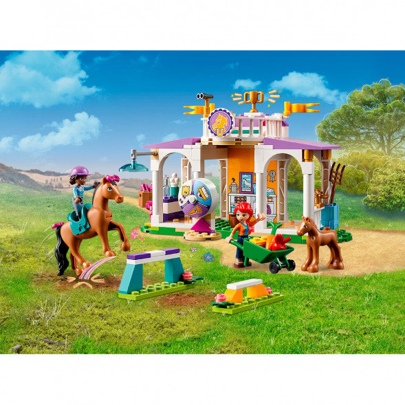 Конструктор LEGO Friends 41746 Horse Training в Челябинске