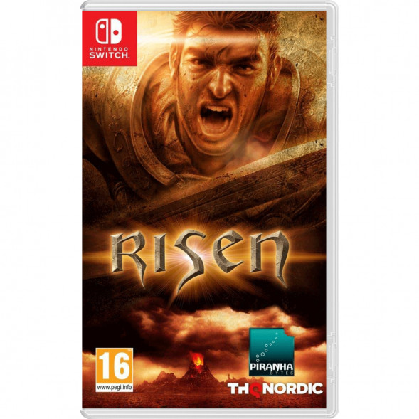 Игра Risen [Nintendo Switch, русская версия] в Челябинске
