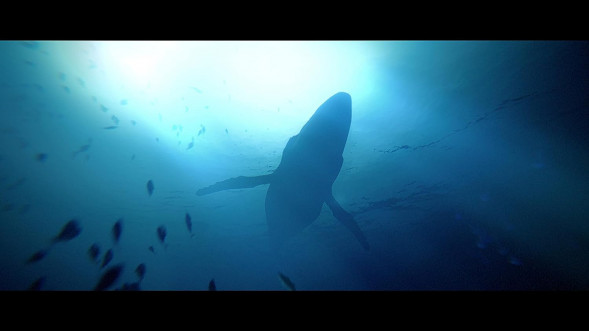 Игра Under The Waves [PS4, русские субтитры] в Челябинске