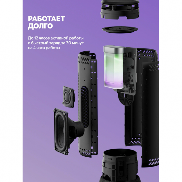 Умная портативная колонка Яндекс Станция Стрит с Алисой, черный в Челябинске