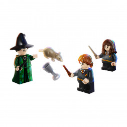 Конструктор LEGO Harry Potter 76382 Учёба в Хогвартсе: Урок трансфигурации