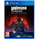 Игра Wolfenstein Youngblood Deluxe Edition [PS4, русская версия] в Челябинске