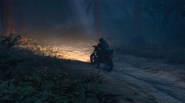 Игра Жизнь После (Days Gone) [PS4, русская версия] в Челябинске