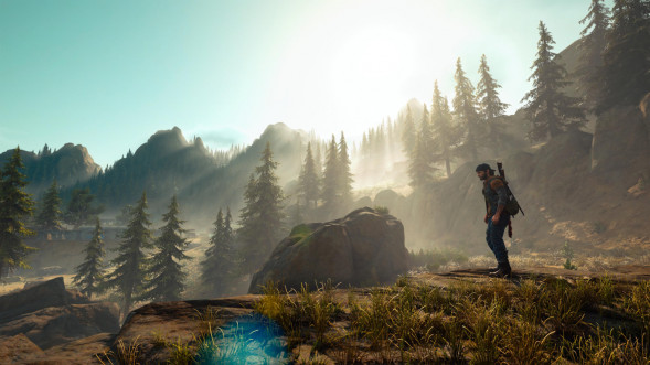 Игра Жизнь После (Days Gone) [PS4, русская версия] в Челябинске