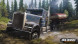 Игра Spintires: MudRunner American Wilds [Nintendo Switch, русские субтитры] в Челябинске